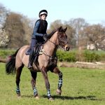Alison Abbey Flat Work