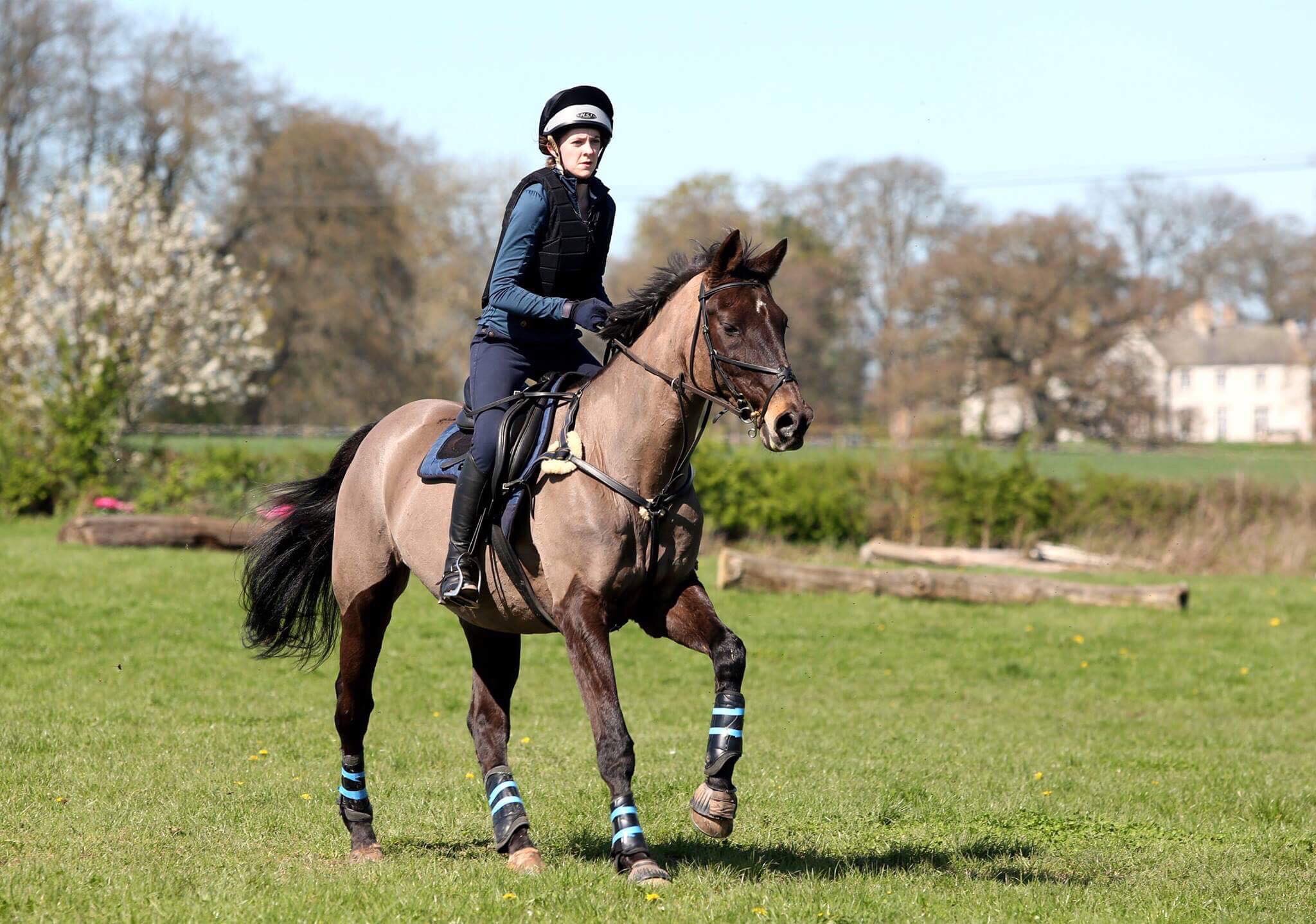 Alison Abbey Flat Work