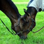 CANCELLED - Members Summer Camp 10-12 June 2024