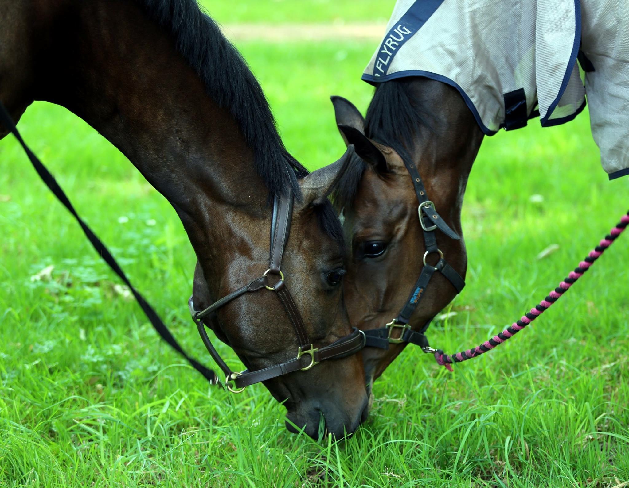 CANCELLED - Members Summer Camp 10-12 June 2024