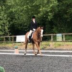 Members Dressage Competition