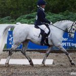 Area Senior, Intermediate and Novice Dressage Qualifier