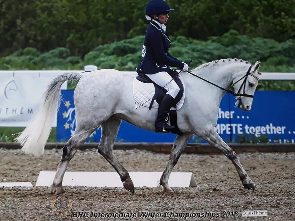 Area Senior, Intermediate and Novice Dressage Qualifier