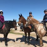 Members Spring Camp 17-19 May