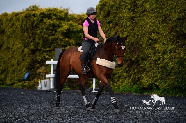 Andrew Lovell Polework Clinic
