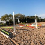 Annie Tewson Ground Poles and Grids