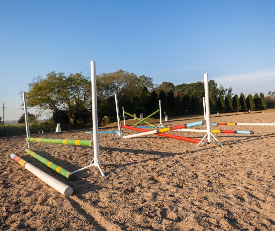 Annie Tewson Ground Poles and Grids