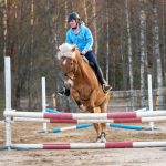 Annie Tewson Showjumping Clinic