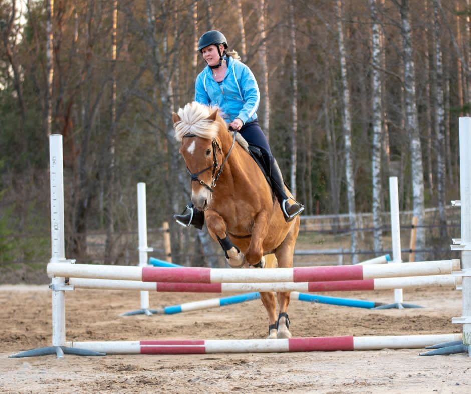 Annie Tewson Showjumping Clinic