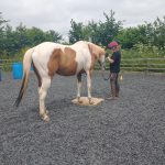 Nell Candelaria Horsemanship Clinic - from 1 pm