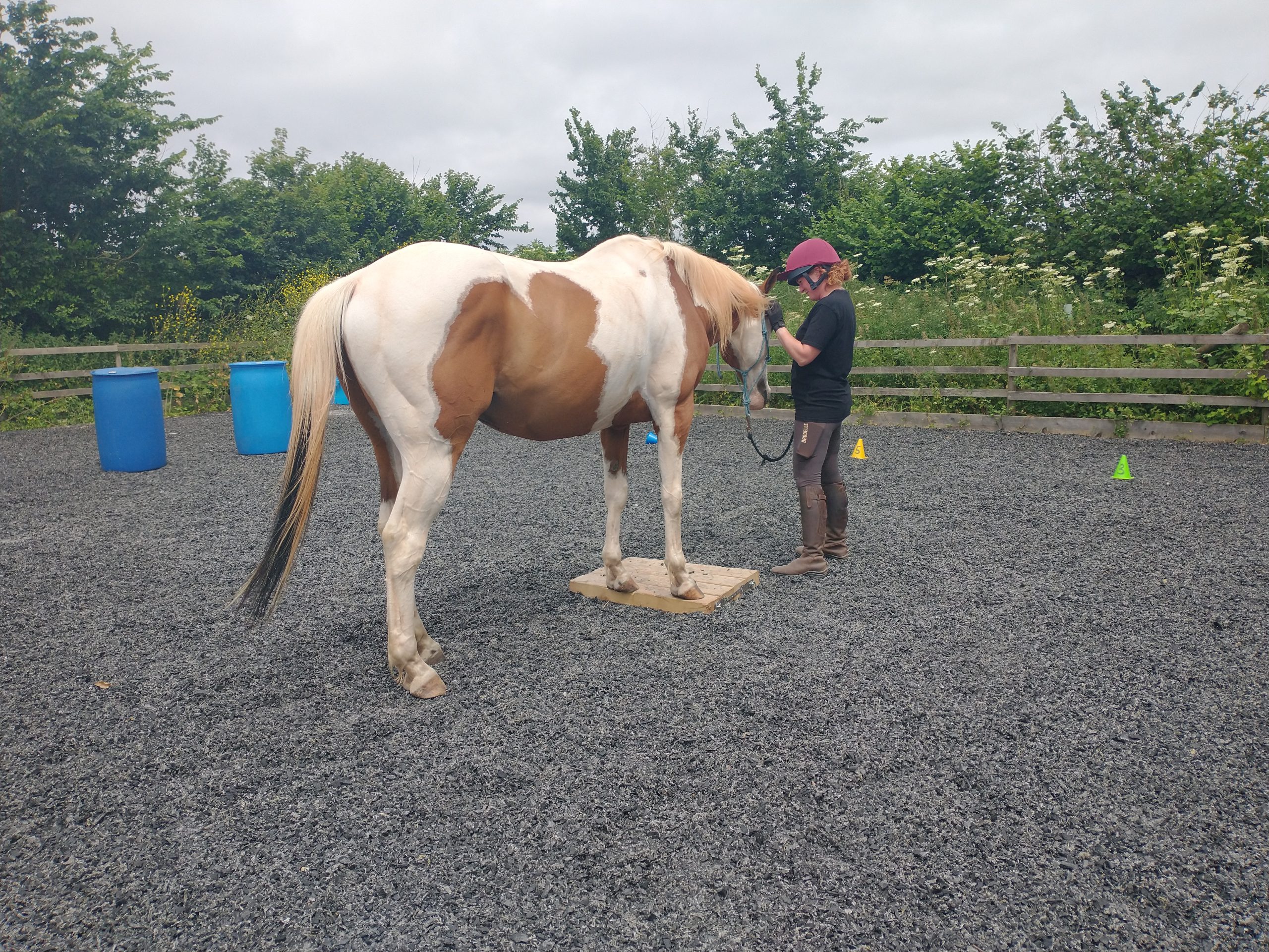 Nell Candelaria Horsemanship Clinic - from 1 pm