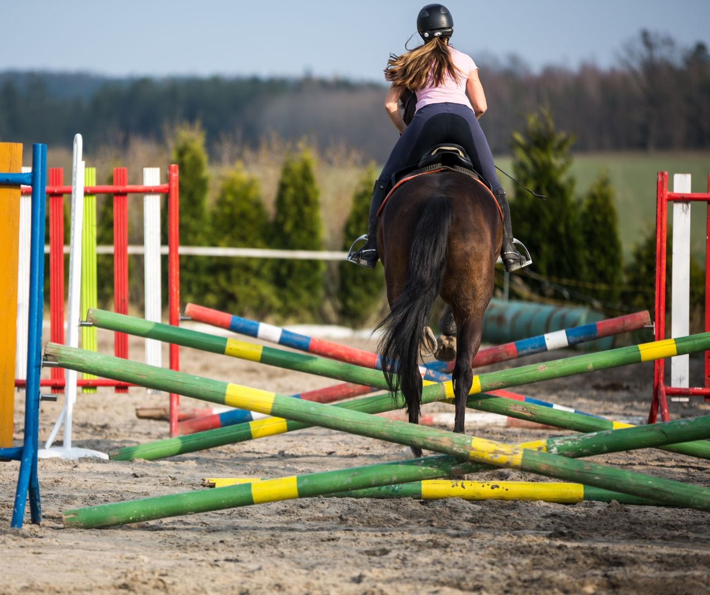 Annie Tewson Ground Poles and Grids