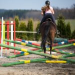 Annie Tewson Ground Poles and Grids