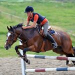 Annie Tewson Showjumping Clinic