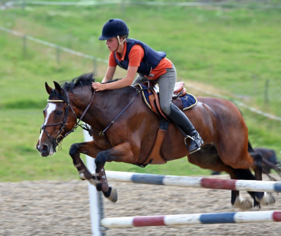Annie Tewson Showjumping Clinic